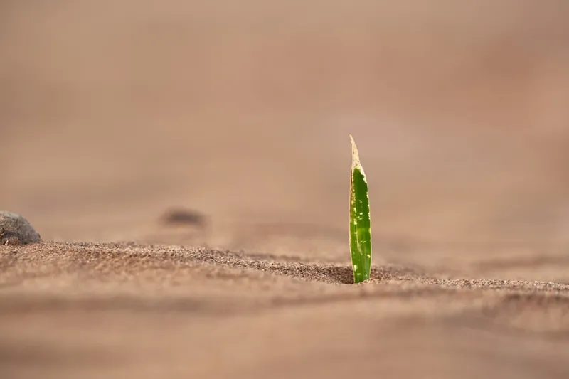 ones in a wile you find live in the desert , may be little but....